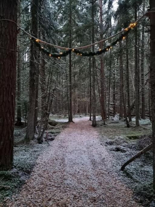 Treetop Ekne - Hytte I Skogen Med Hengebru Levanger Exterior foto