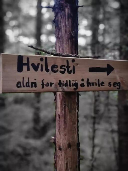 Treetop Ekne - Hytte I Skogen Med Hengebru Levanger Exterior foto