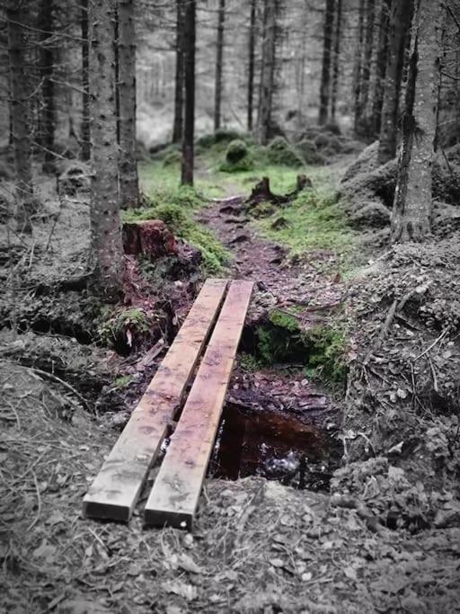 Treetop Ekne - Hytte I Skogen Med Hengebru Levanger Exterior foto