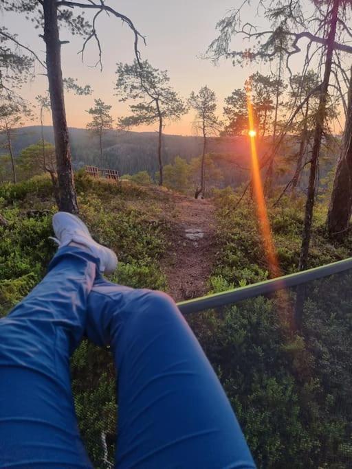 Treetop Ekne - Hytte I Skogen Med Hengebru Levanger Exterior foto