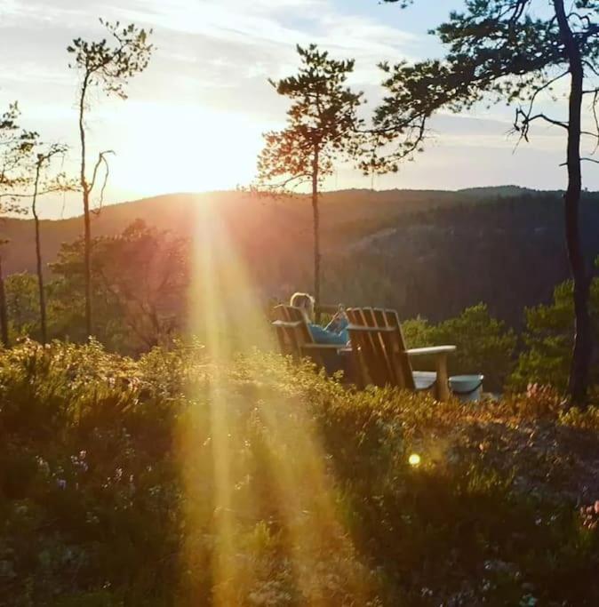 Treetop Ekne - Hytte I Skogen Med Hengebru Levanger Exterior foto