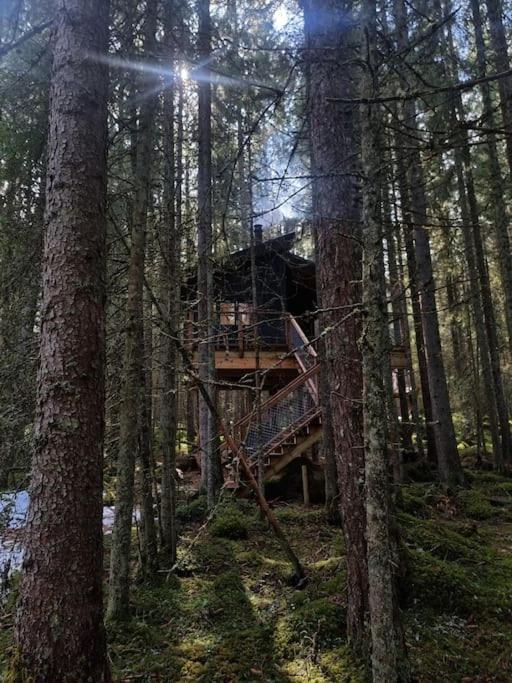 Treetop Ekne - Hytte I Skogen Med Hengebru Levanger Exterior foto